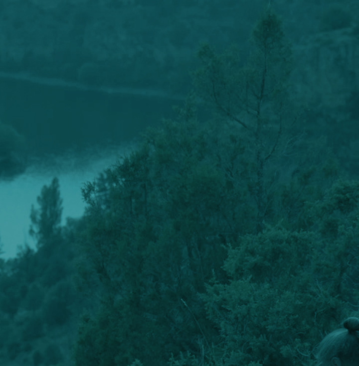 How BIMZELX works for PsA