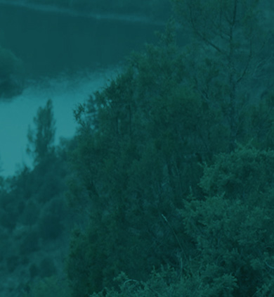 How BIMZELX works for PsA