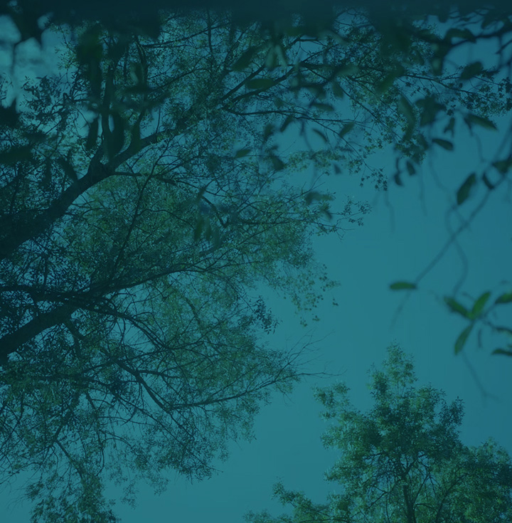 How BIMZELX works for nr-axSpA