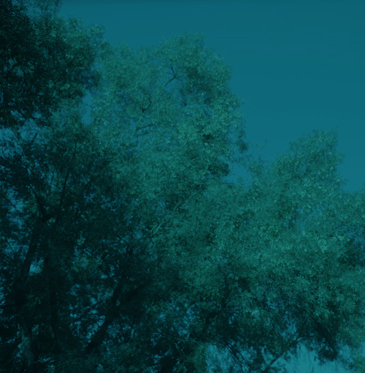 How BIMZELX works for AS