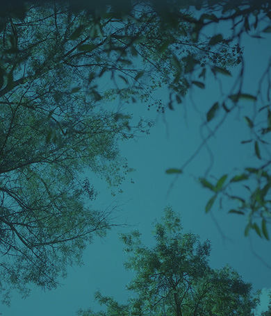 How BIMZELX works for nr-axSpA