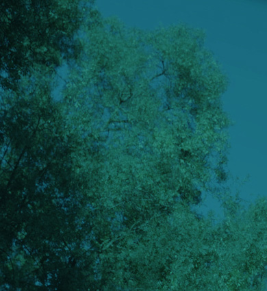 How BIMZELX works for AS