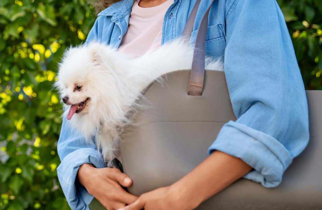 Woman carrying a dog